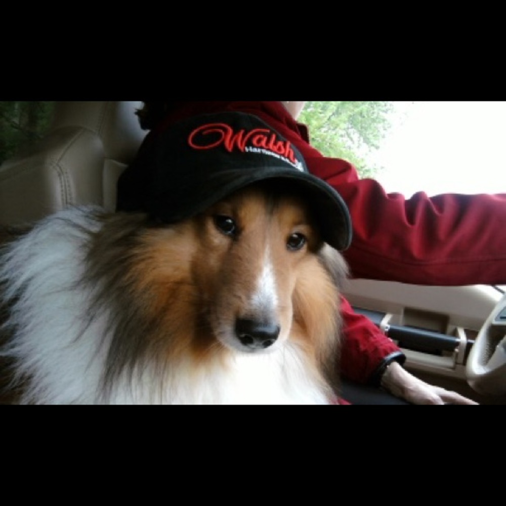 Meet your Posher, Lisa